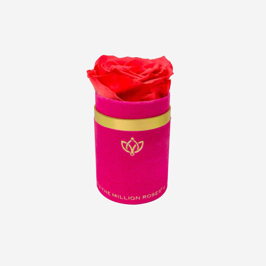 Single Hot Pink Suede Box | Coral Rose - The Million Roses