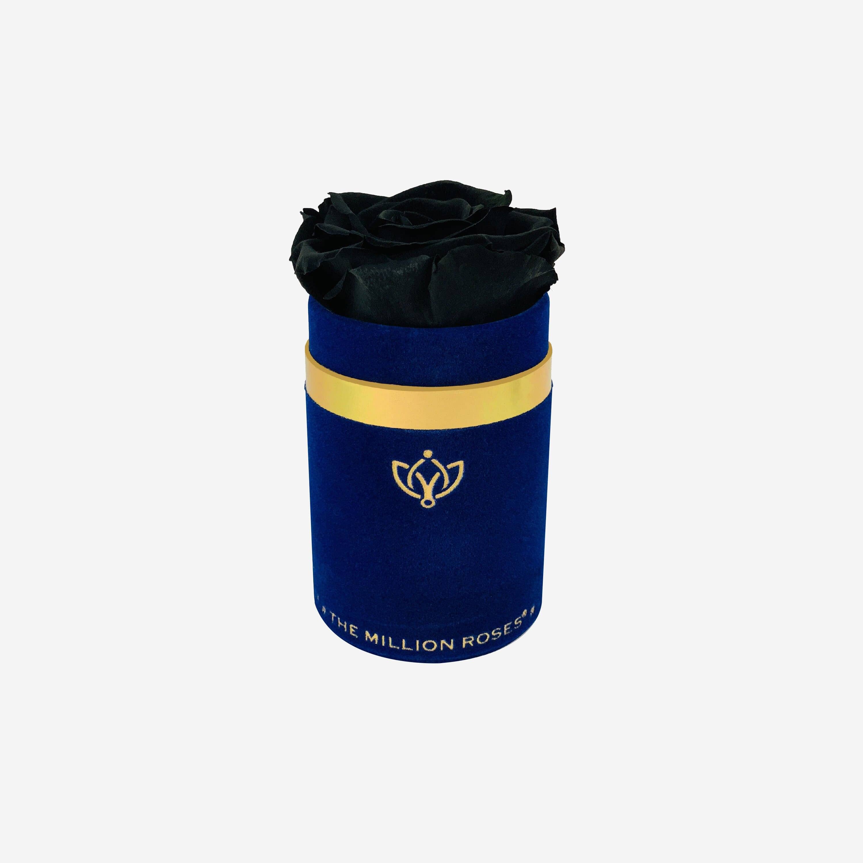 Single Royal Blue Suede Box | Black Rose - The Million Roses