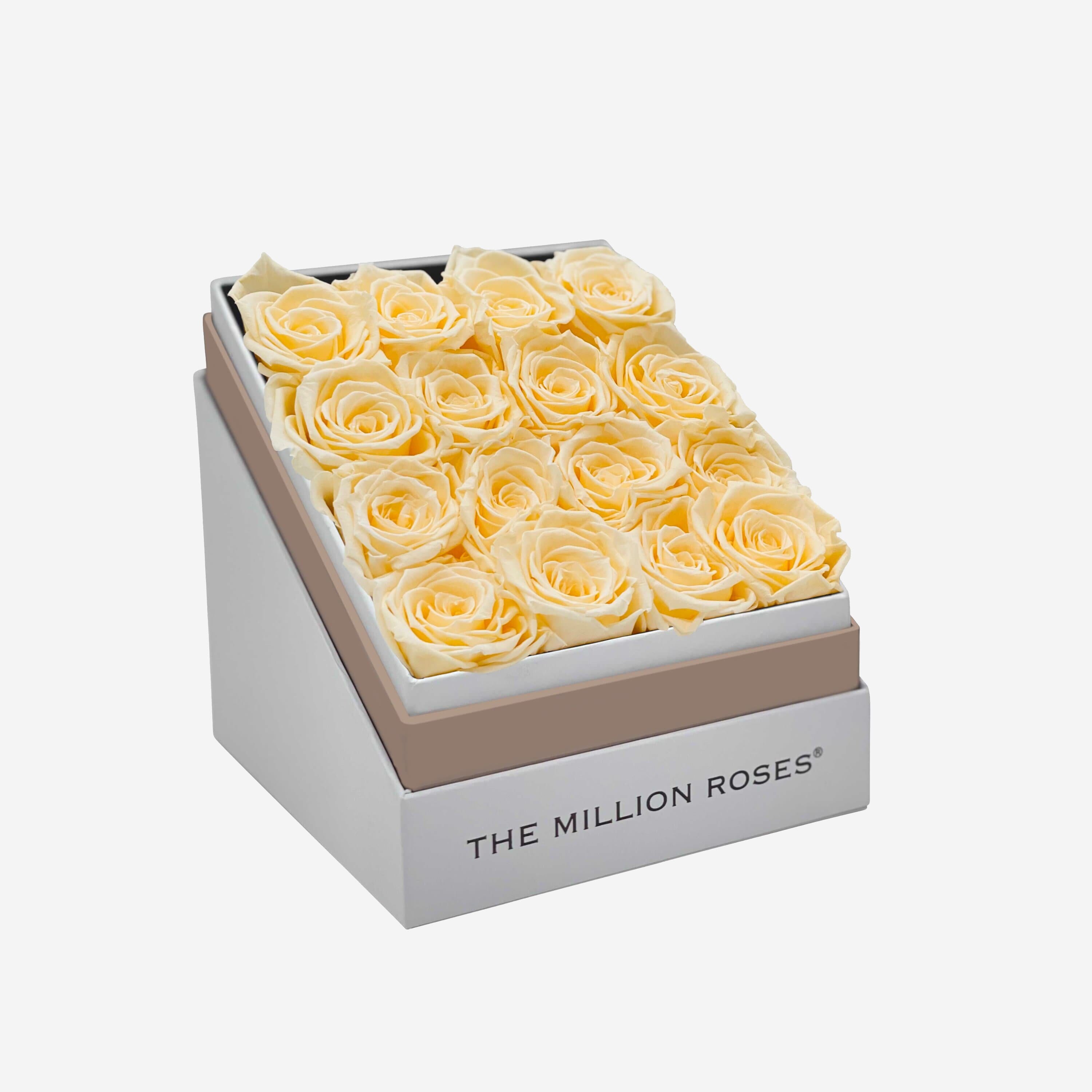 Square White Box | Ivory Roses - The Million Roses