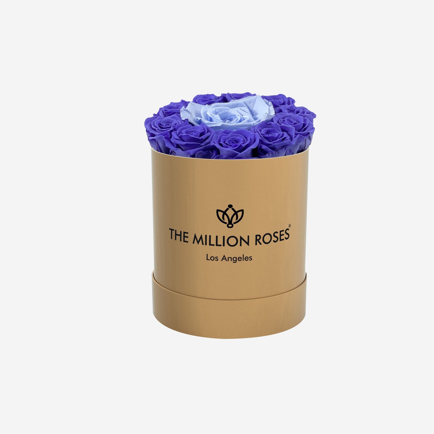 Basic Gold Box | Violet & Light Blue Mini Roses - The Million Roses