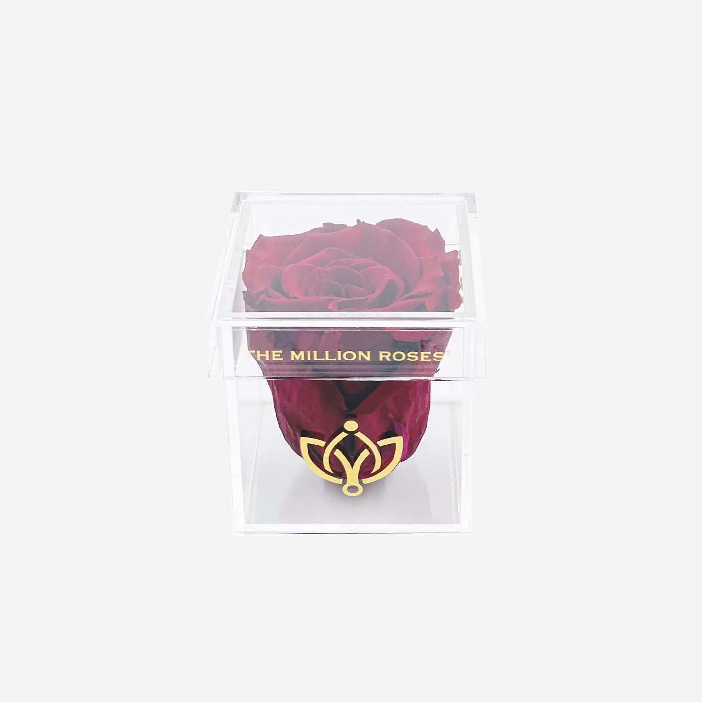 Acrylic Single Box | Burgundy Rose - The Million Roses