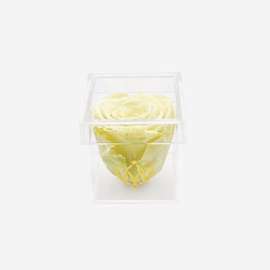 Acrylic Single Box | Canary Yellow Rose - The Million Roses