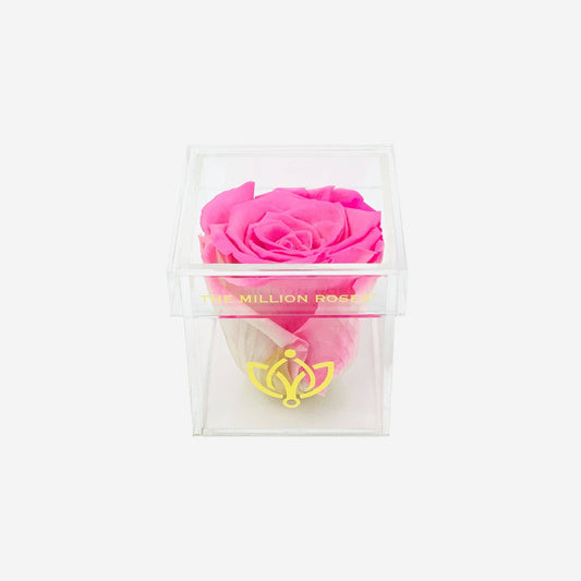 Acrylic Single Box | Candy Pink Rose - The Million Roses