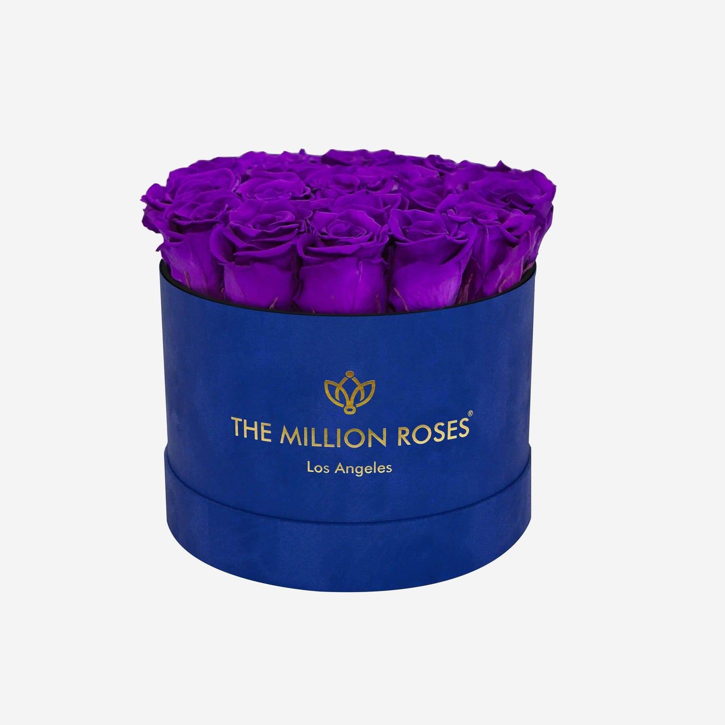 Classic Royal Blue Suede Box | Bright Purple Roses - The Million Roses