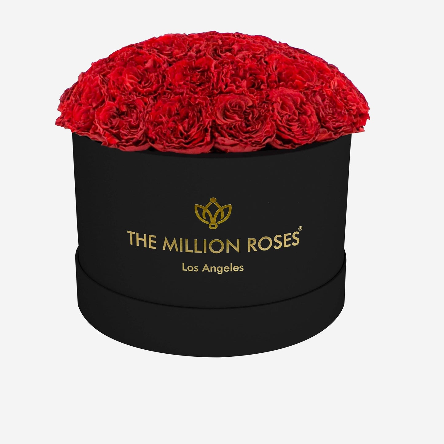 Supreme Black Dome Box | Red Carmen Roses - The Million Roses
