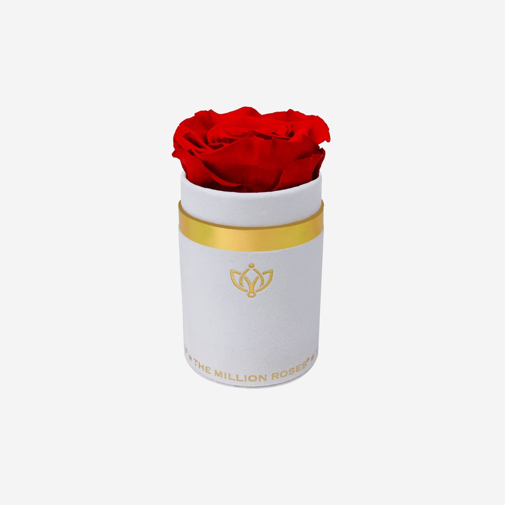 Single White Suede Box | Red Rose - The Million Roses