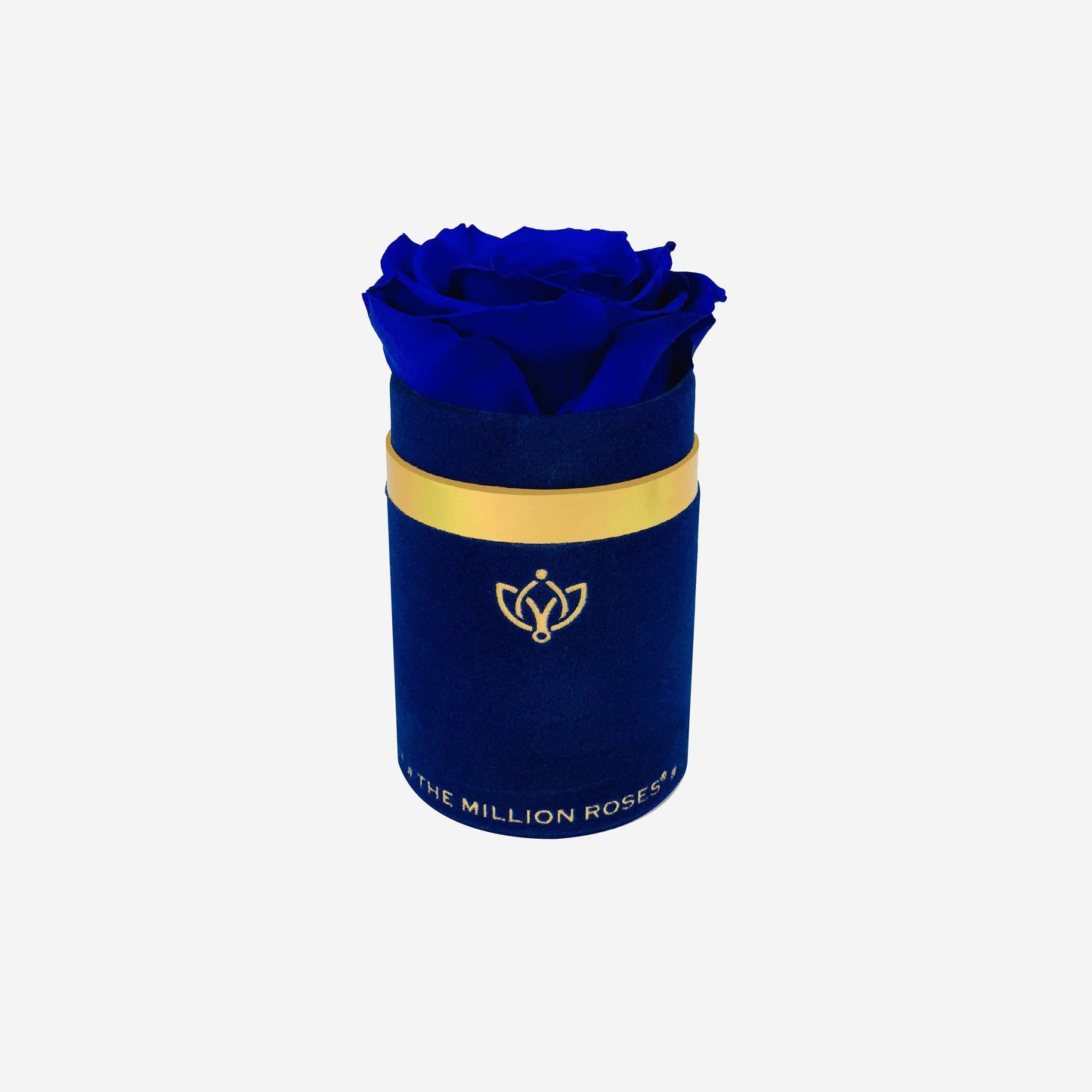 Single Royal Blue Suede Box | Royal Blue Rose - The Million Roses
