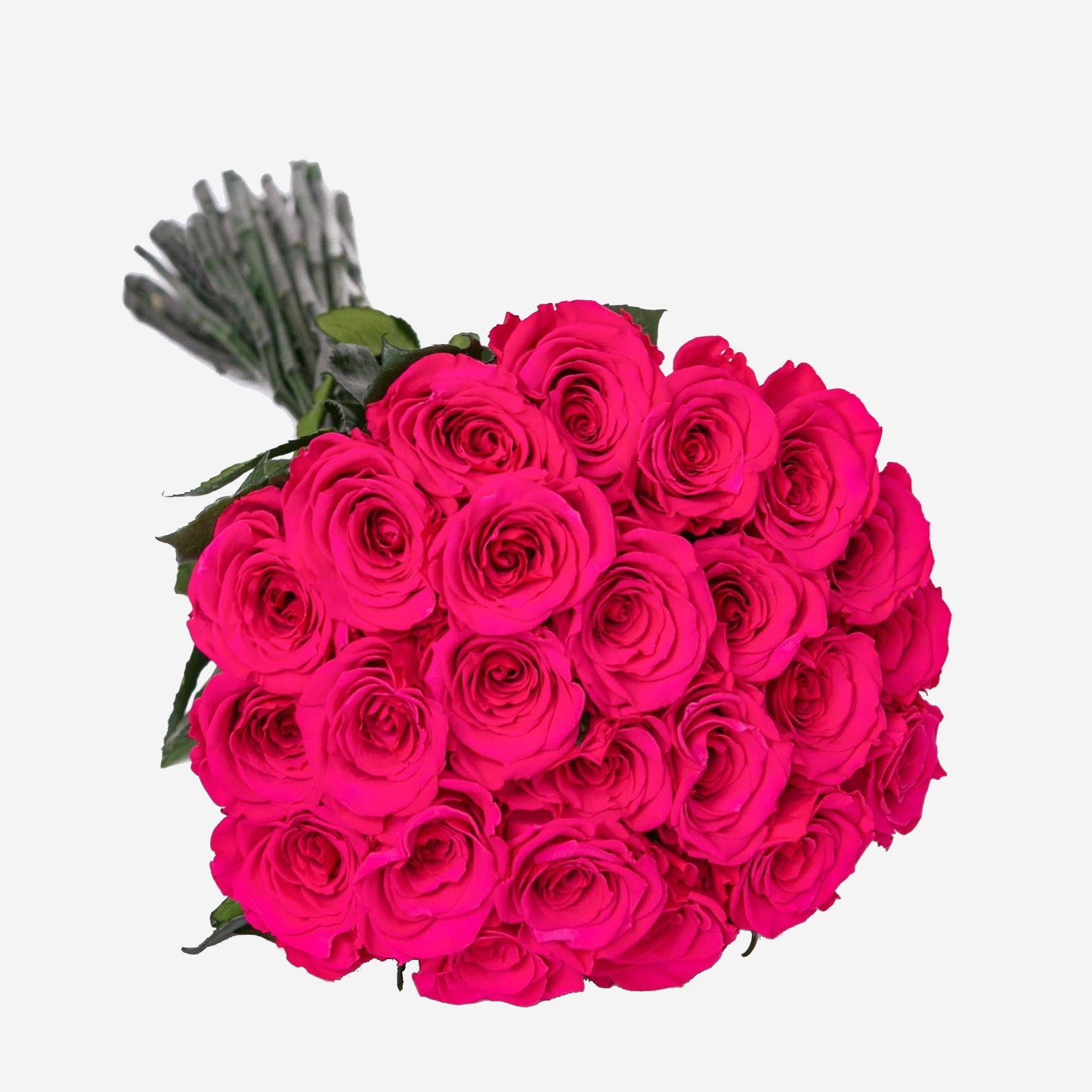 Long Stem Roses | Hot Pink Roses - The Million Roses