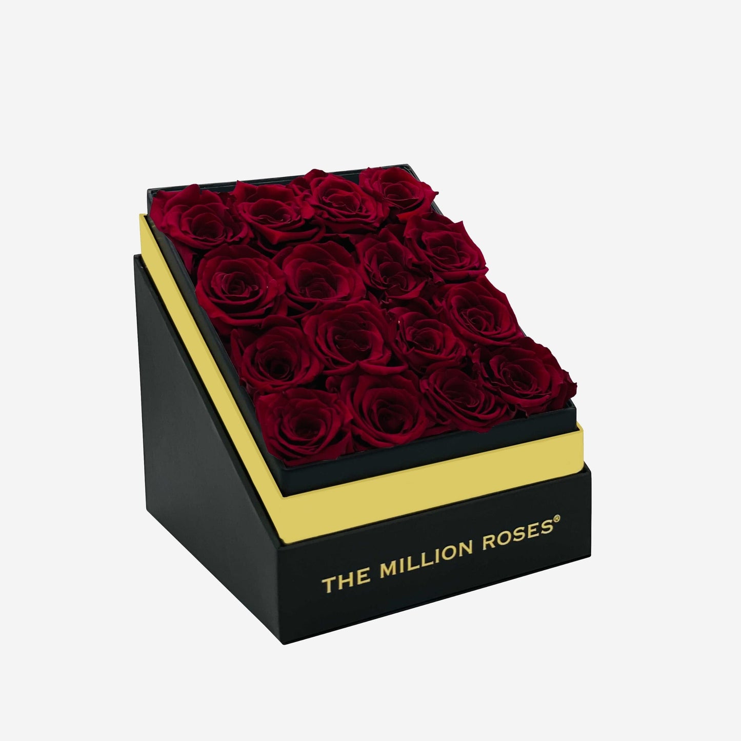 Square Black Box | Burgundy Roses - The Million Roses