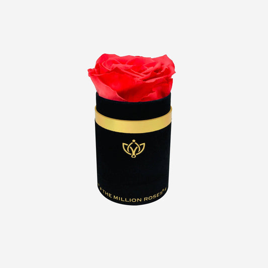 Single Black Suede Box | Coral Rose - The Million Roses