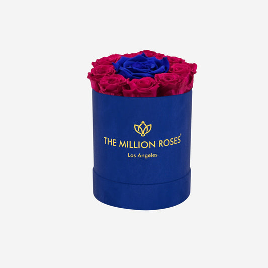 Basic Royal Blue Suede Box | Magenta & Royal Blue Mini Roses - The Million Roses