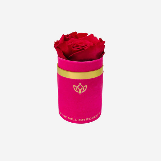 Single Hot Pink Suede Box | Magenta Rose - The Million Roses