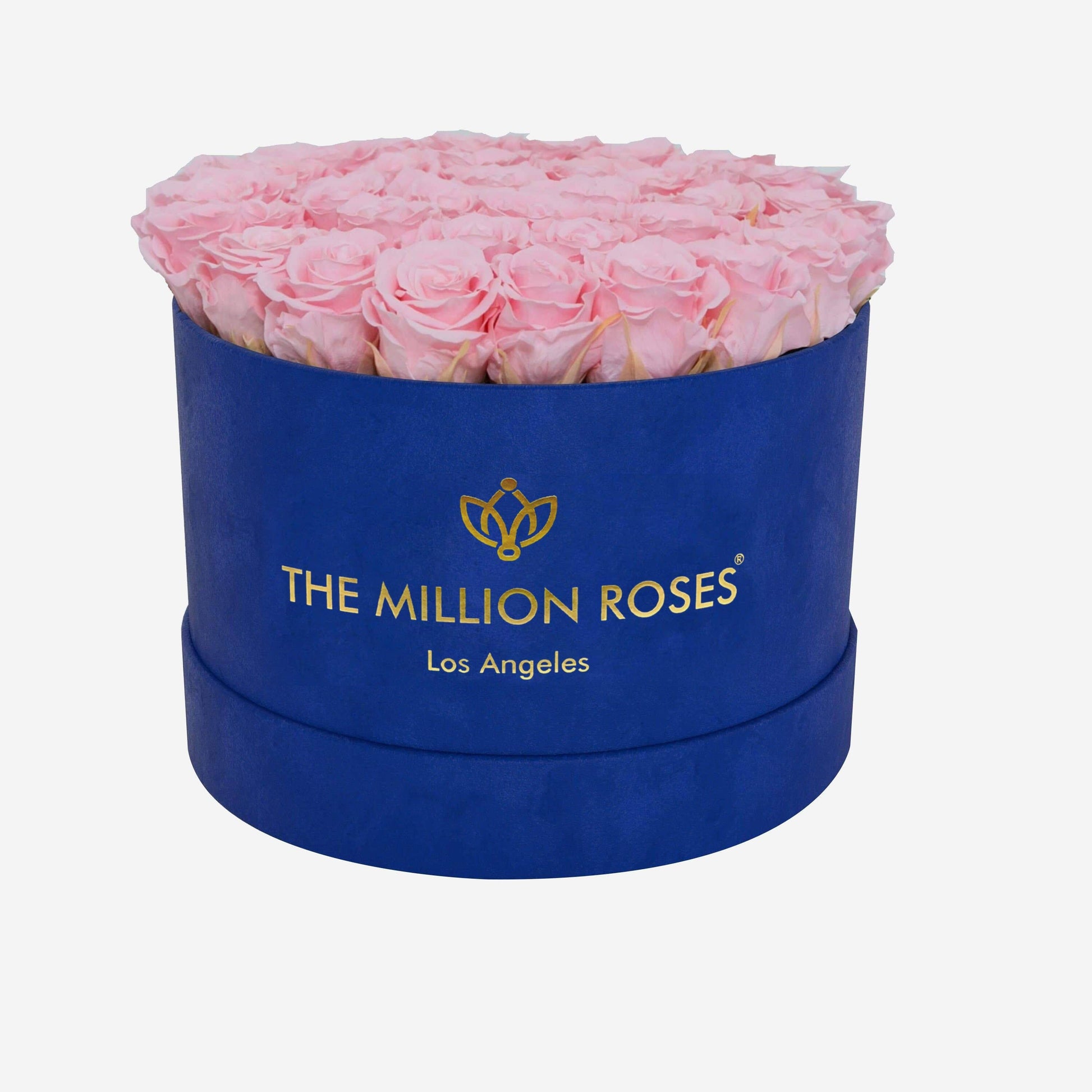 Supreme Royal Blue Suede Box | Light Pink Roses - The Million Roses