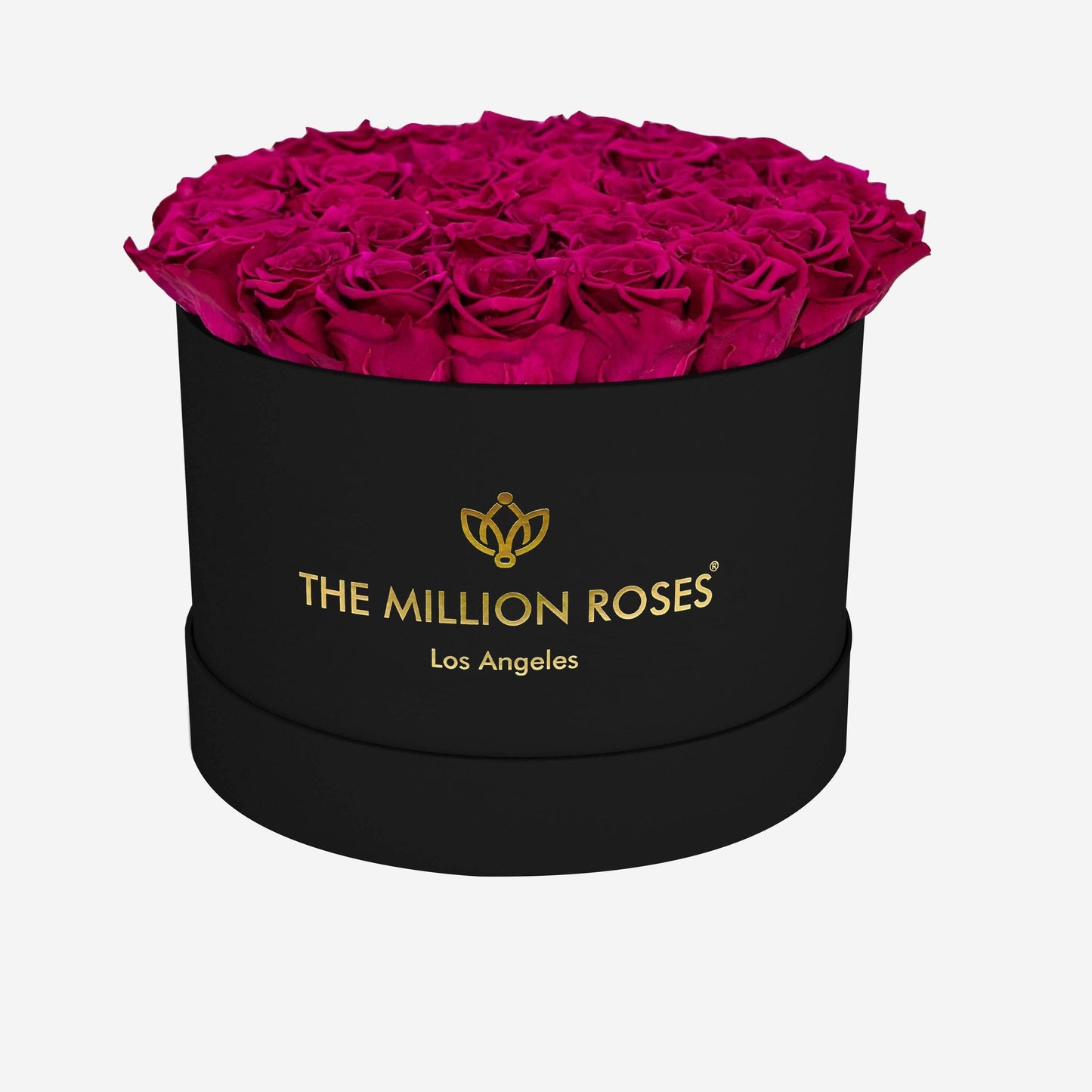 Supreme Black Box | Magenta Roses - The Million Roses