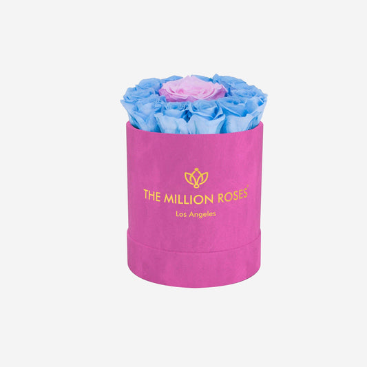Basic Hot Pink Suede Box | Light Blue Mini Roses - The Million Roses