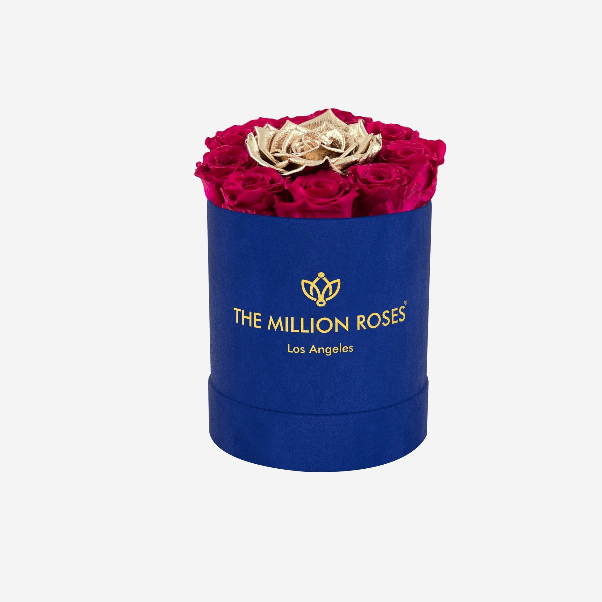 Basic Royal Blue Suede Box | Magenta & Gold Mini Roses - The Million Roses
