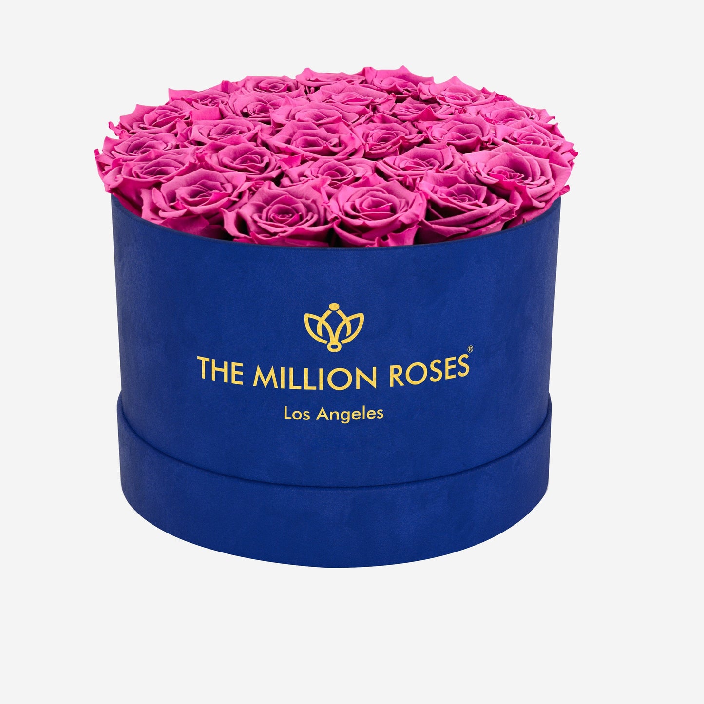 Supreme Royal Blue Suede Box | Orchid Roses - The Million Roses