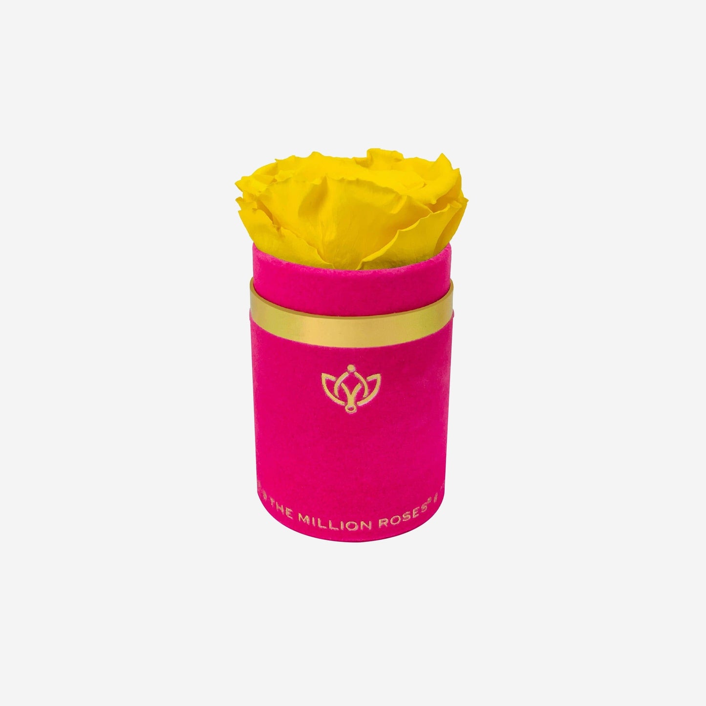Single Hot Pink Suede Box | Yellow Rose - The Million Roses