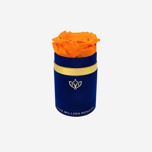 Single Royal Blue Suede Box | Orange Rose - The Million Roses