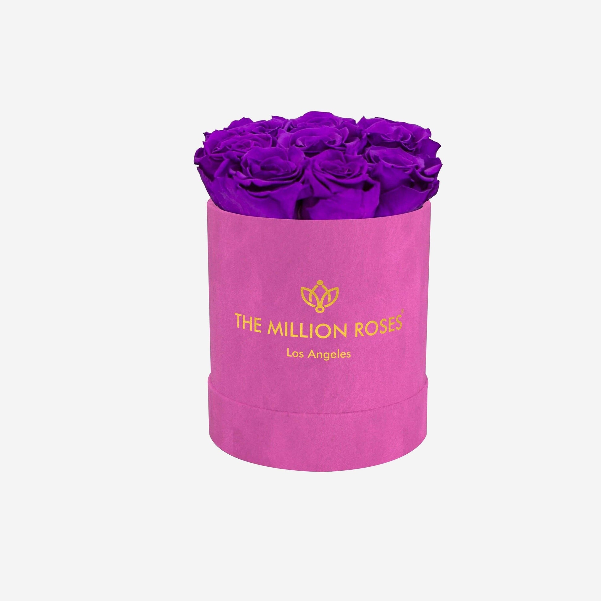 Basic Hot Pink Suede Box | Bright Purple Roses - The Million Roses