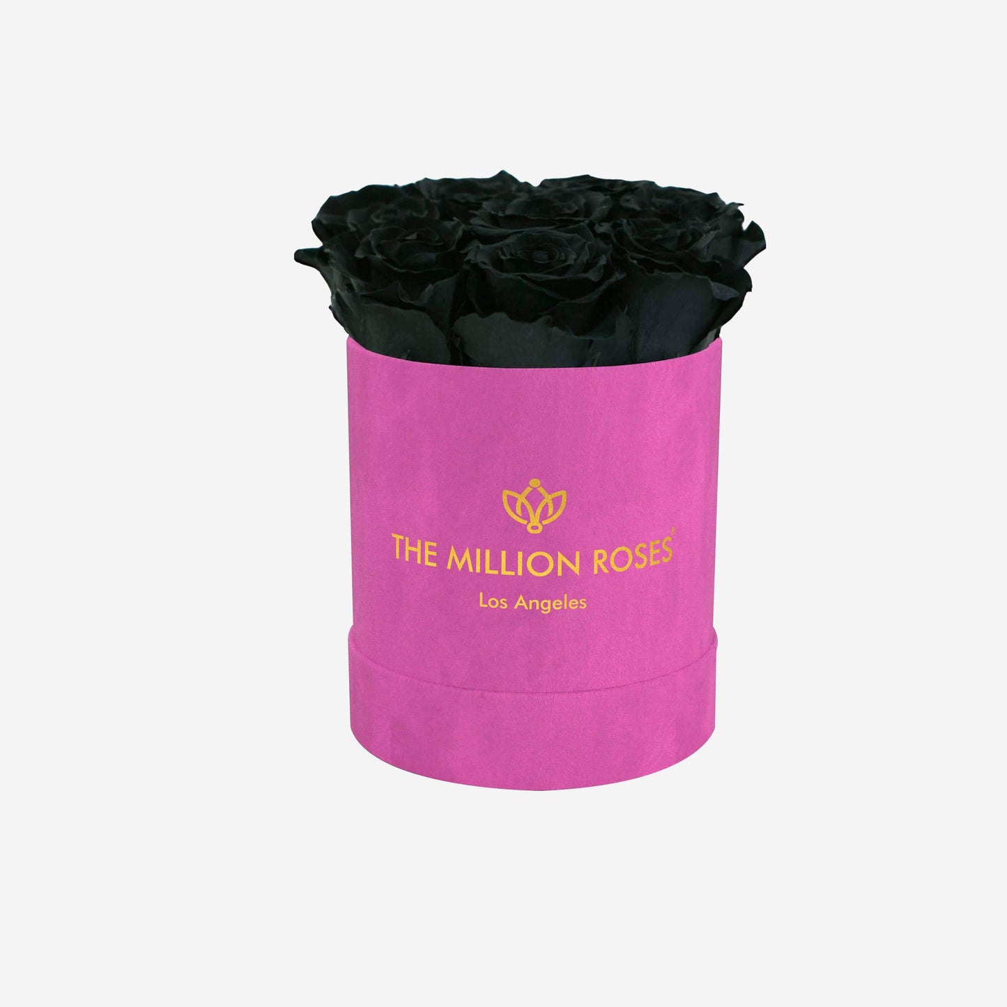 Basic Hot Pink Suede Box | Black Roses - The Million Roses