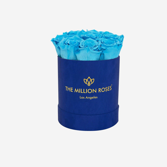 Basic Royal Blue Suede Box | Light Blue Roses - The Million Roses