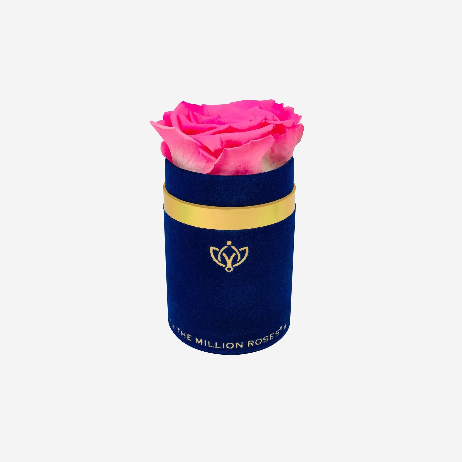 Single Royal Blue Suede Box | Candy Pink Rose - The Million Roses