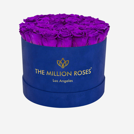 Supreme Royal Blue Suede Box | Bright Purple Roses - The Million Roses