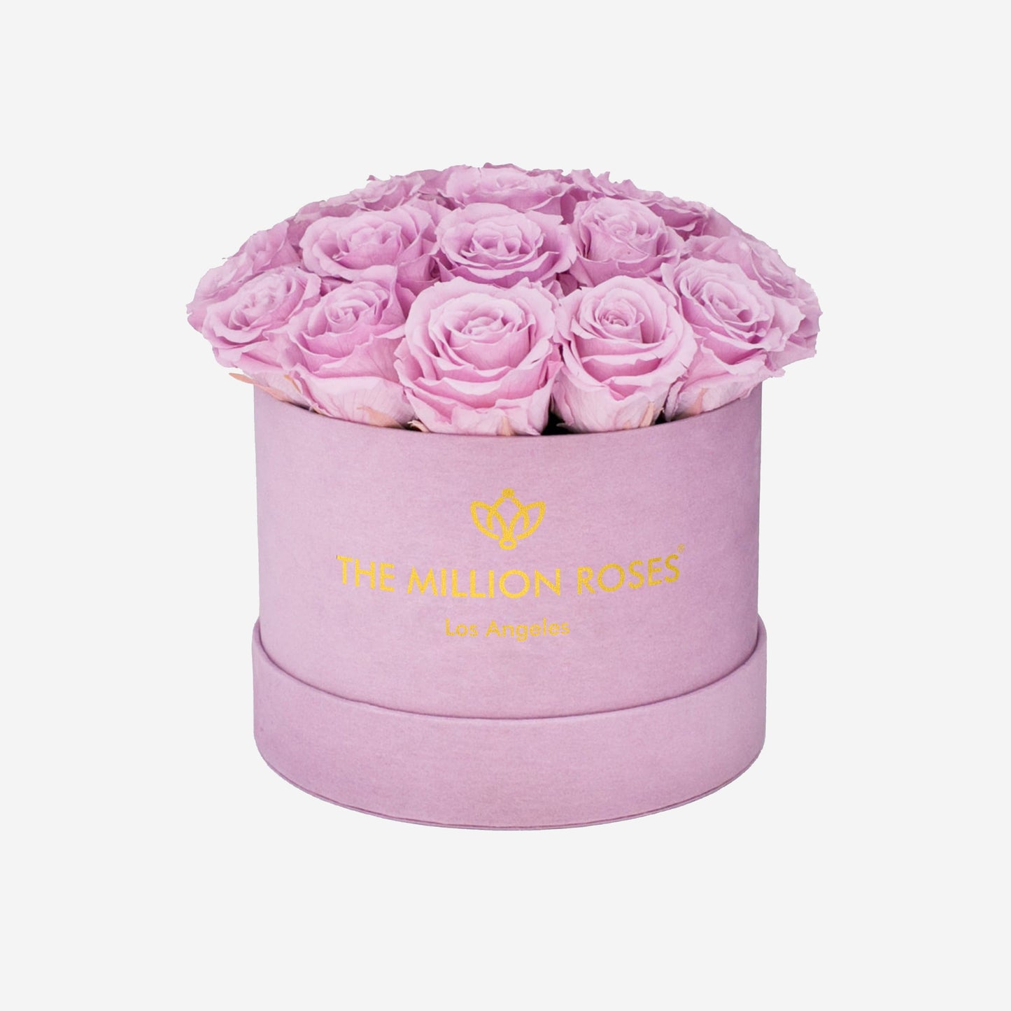 Classic Light Pink Suede Dome Box | Light Pink Roses - The Million Roses