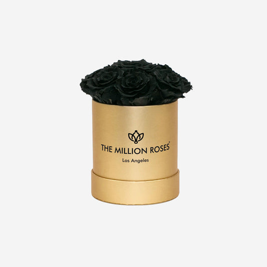 La Rose Preserved Beauty Naturally Scented 4 XL White Roses in Luxury Round Hat Box Handmade from Ecuador Perfect for Gift and Decoration.