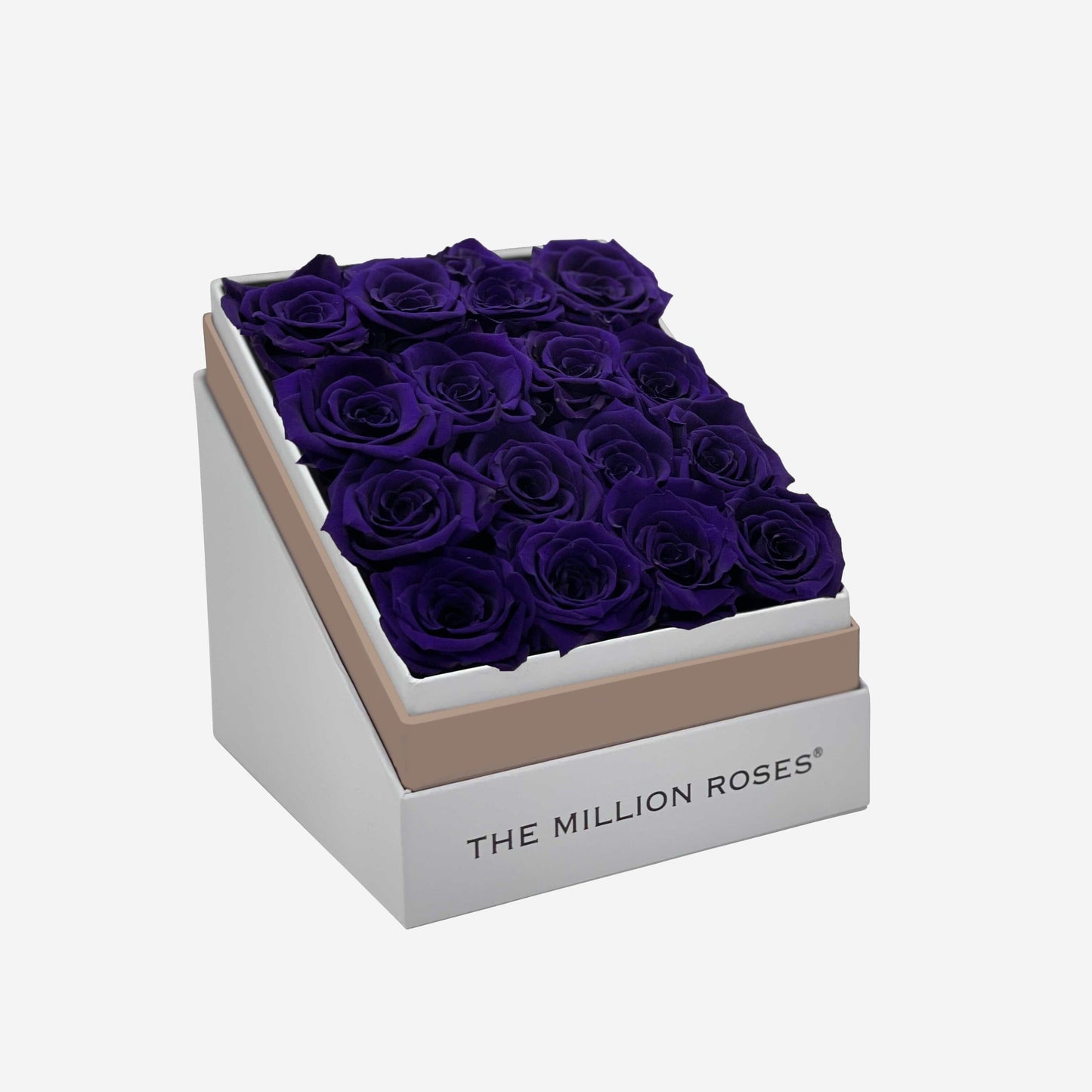 Square White Box | Dark Purple Roses - The Million Roses
