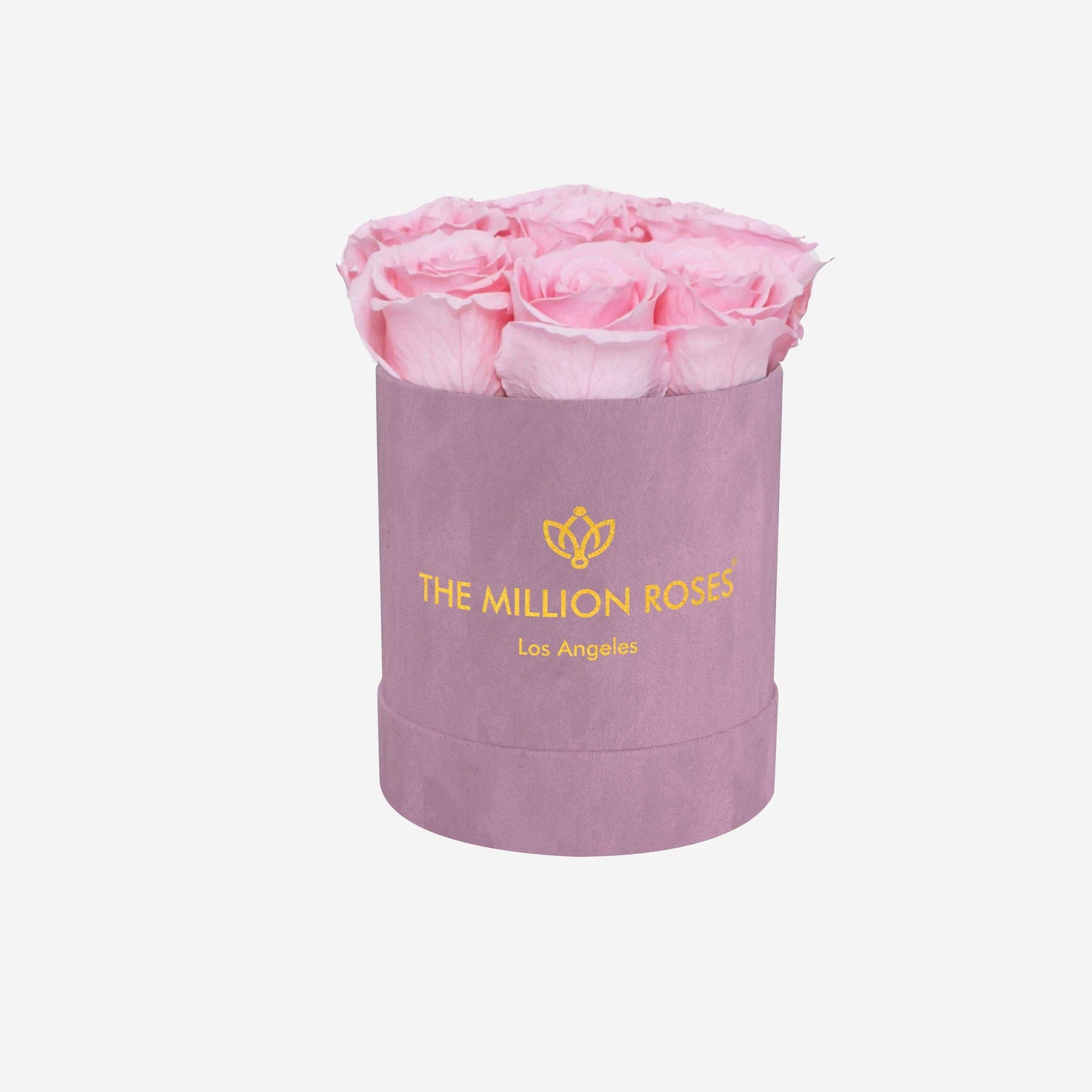 Basic Light Pink Suede Box | Light Pink Roses - The Million Roses
