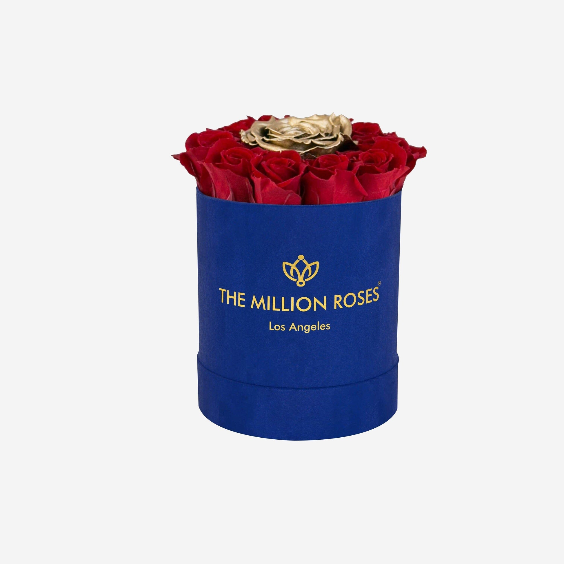 Basic Royal Blue Suede Box | Red & Gold Mini Roses - The Million Roses