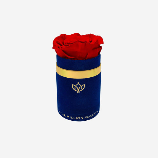 Single Royal Blue Suede Box | Red Rose - The Million Roses