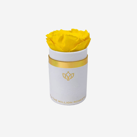 Single White Suede Box | Yellow Rose - The Million Roses