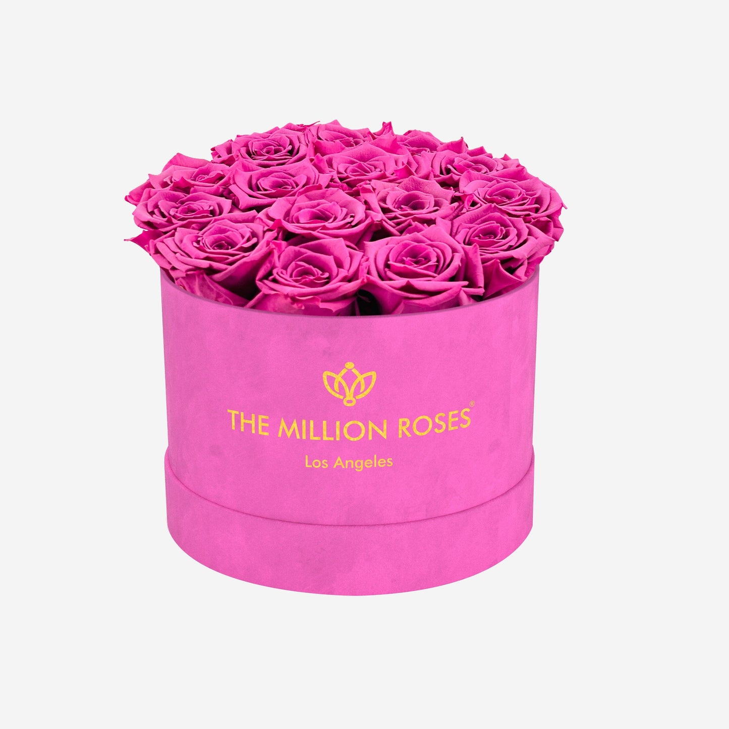 Classic Hot Pink Suede Box | Orchid Roses - The Million Roses