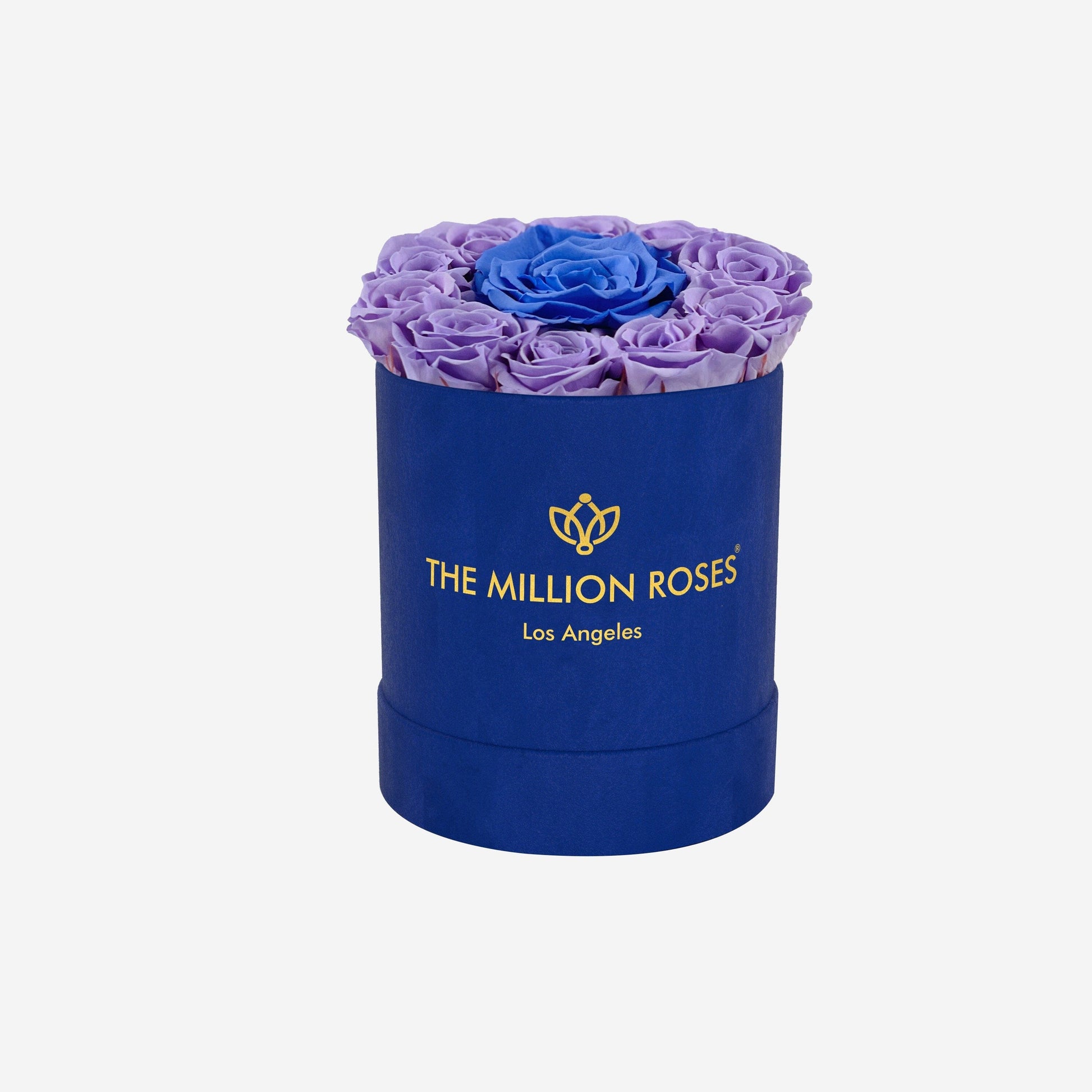 Basic Royal Blue Suede Box | Lavender & Violet Mini Roses - The Million Roses