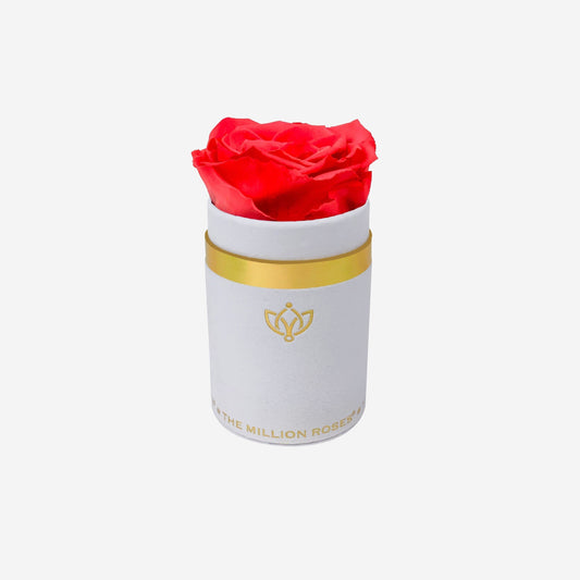 Single White Suede Box | Coral Rose - The Million Roses
