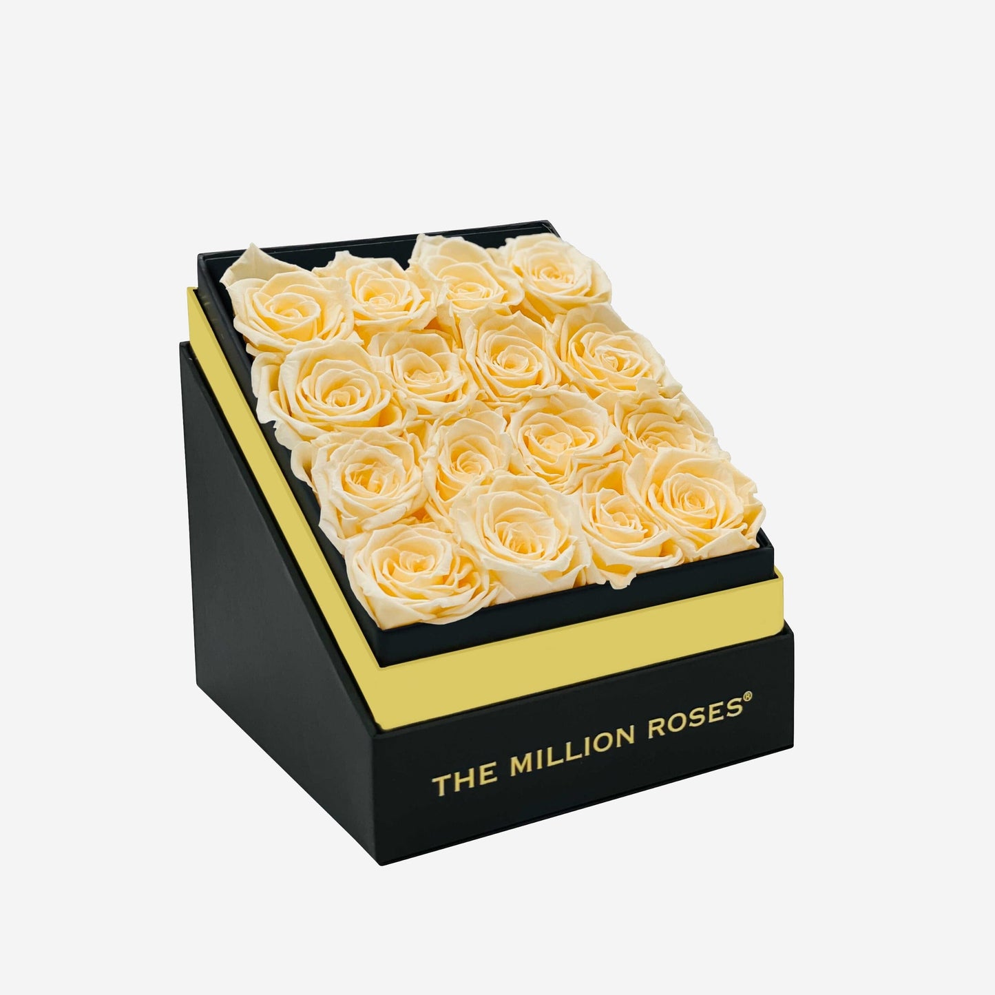 Square Black Box | Ivory Roses - The Million Roses