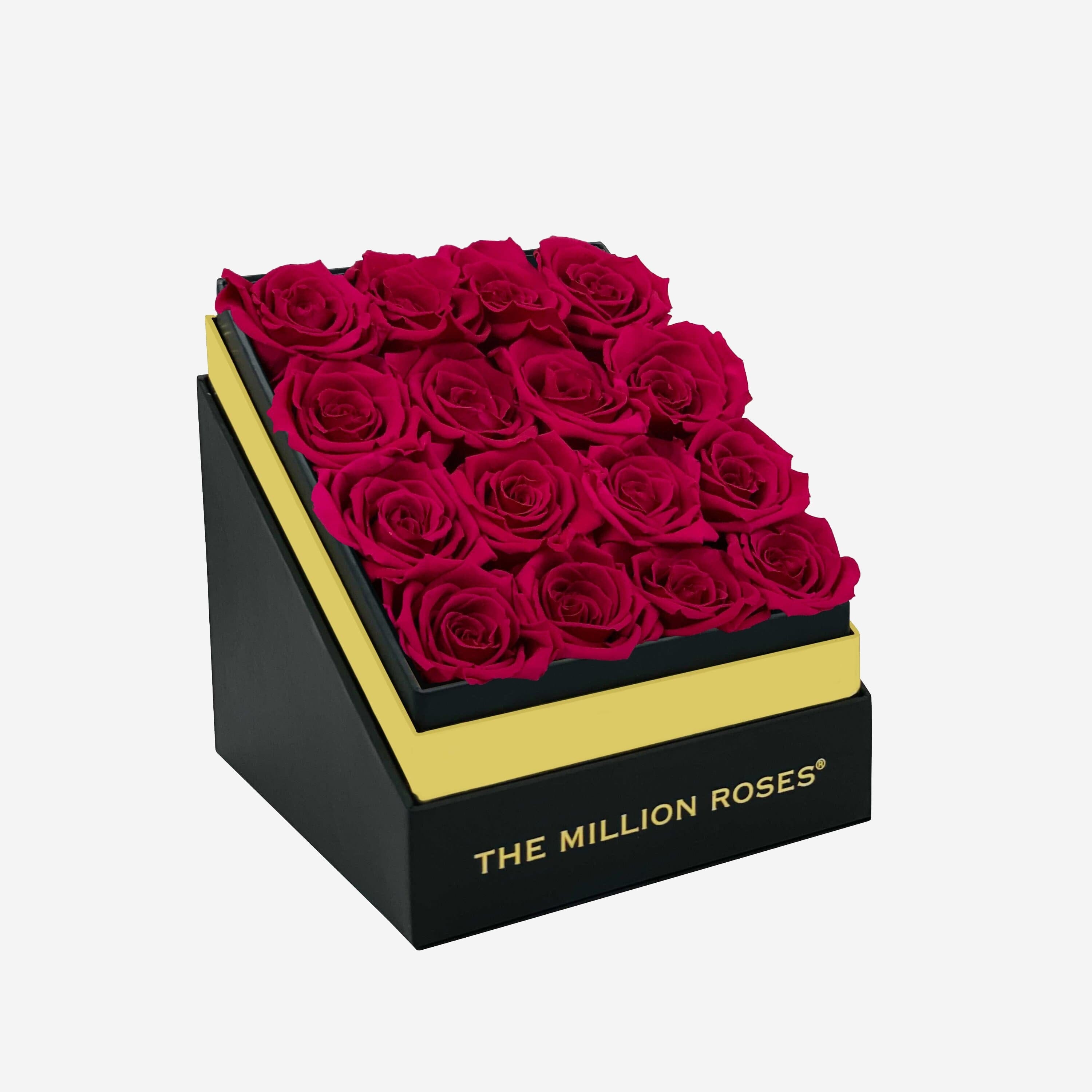 Square Black Box | Magenta Roses - The Million Roses