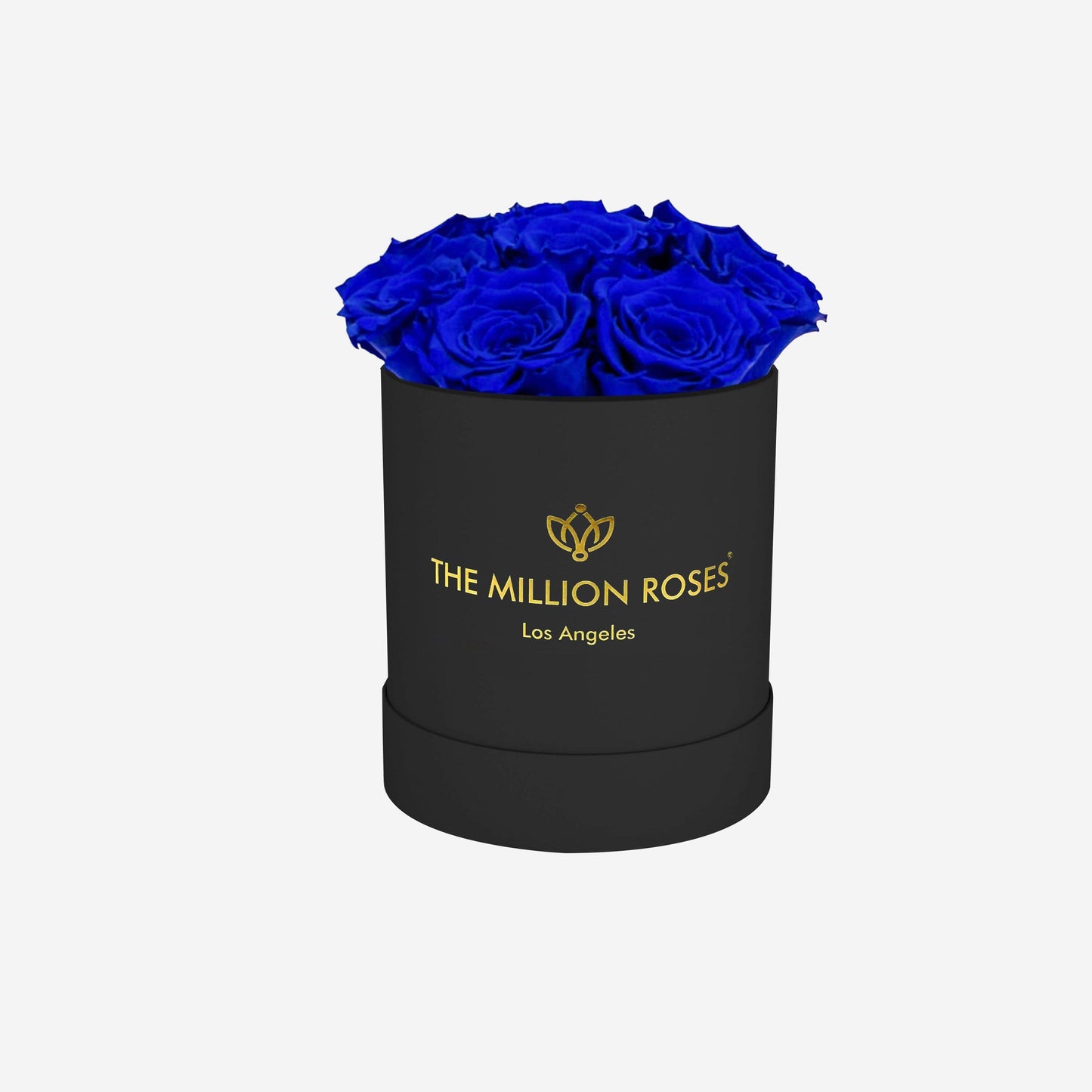 Aqua Blue Roses  Black Love Box – The One Roses