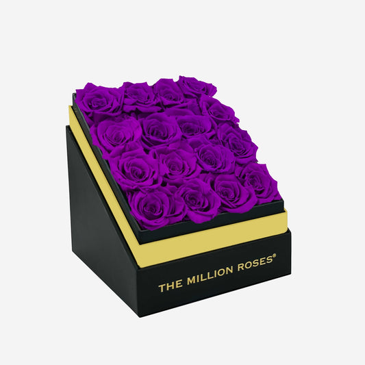 Square Black Box | Bright Purple Roses - The Million Roses