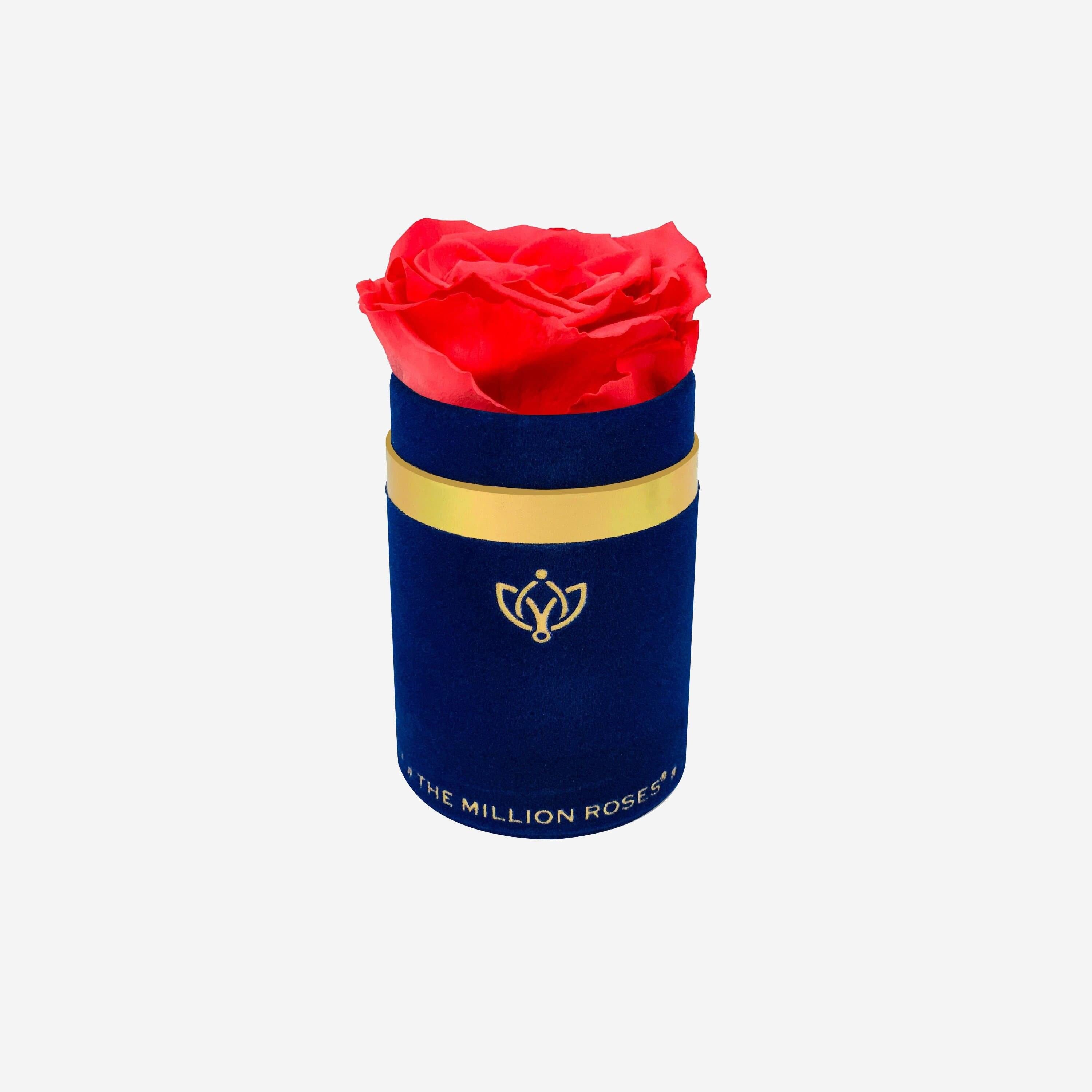 Single Royal Blue Suede Box | Coral Rose - The Million Roses