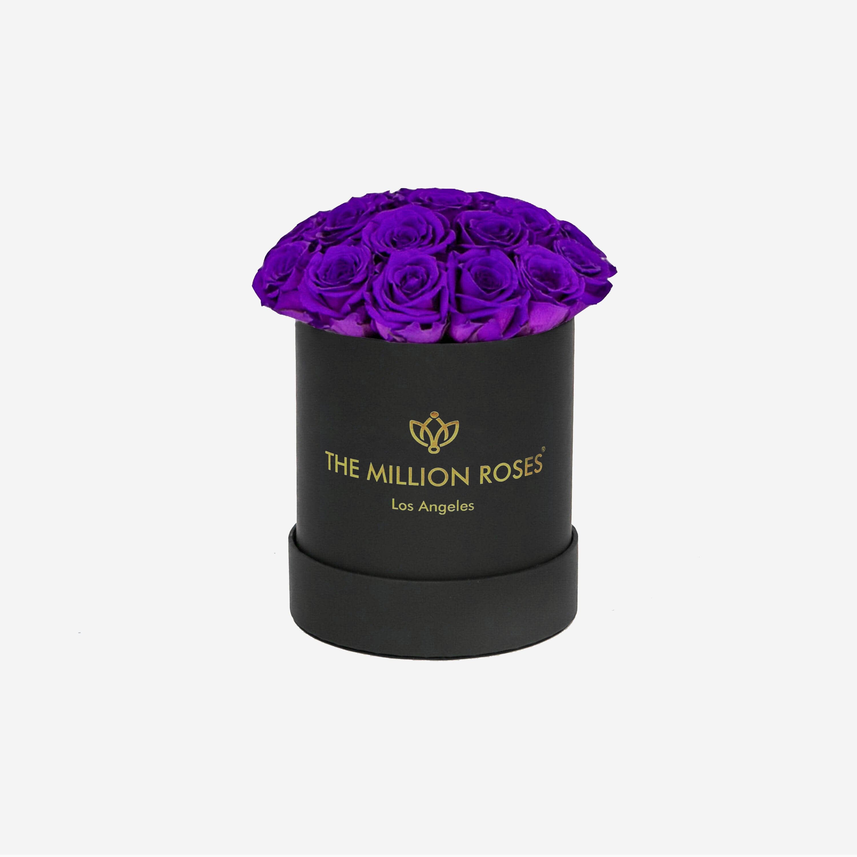 Basic Black Box | Bright Purple Roses | The Million Roses