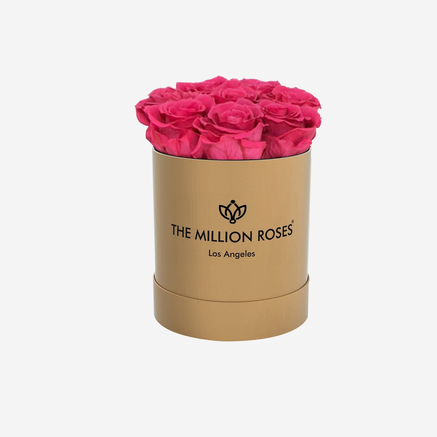 Basic Gold Box | Coral Roses - The Million Roses