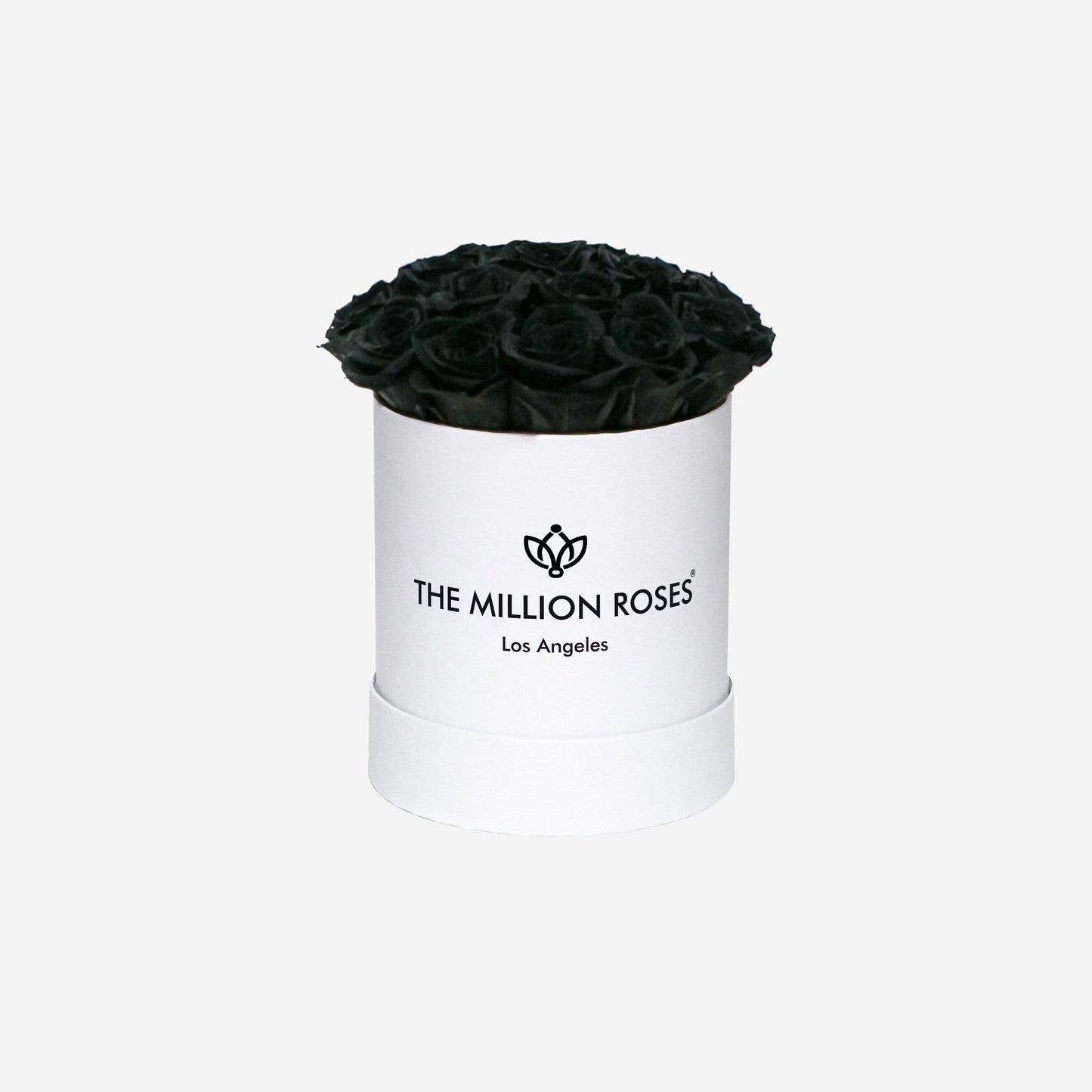 Basic White Box | Black Roses - The Million Roses