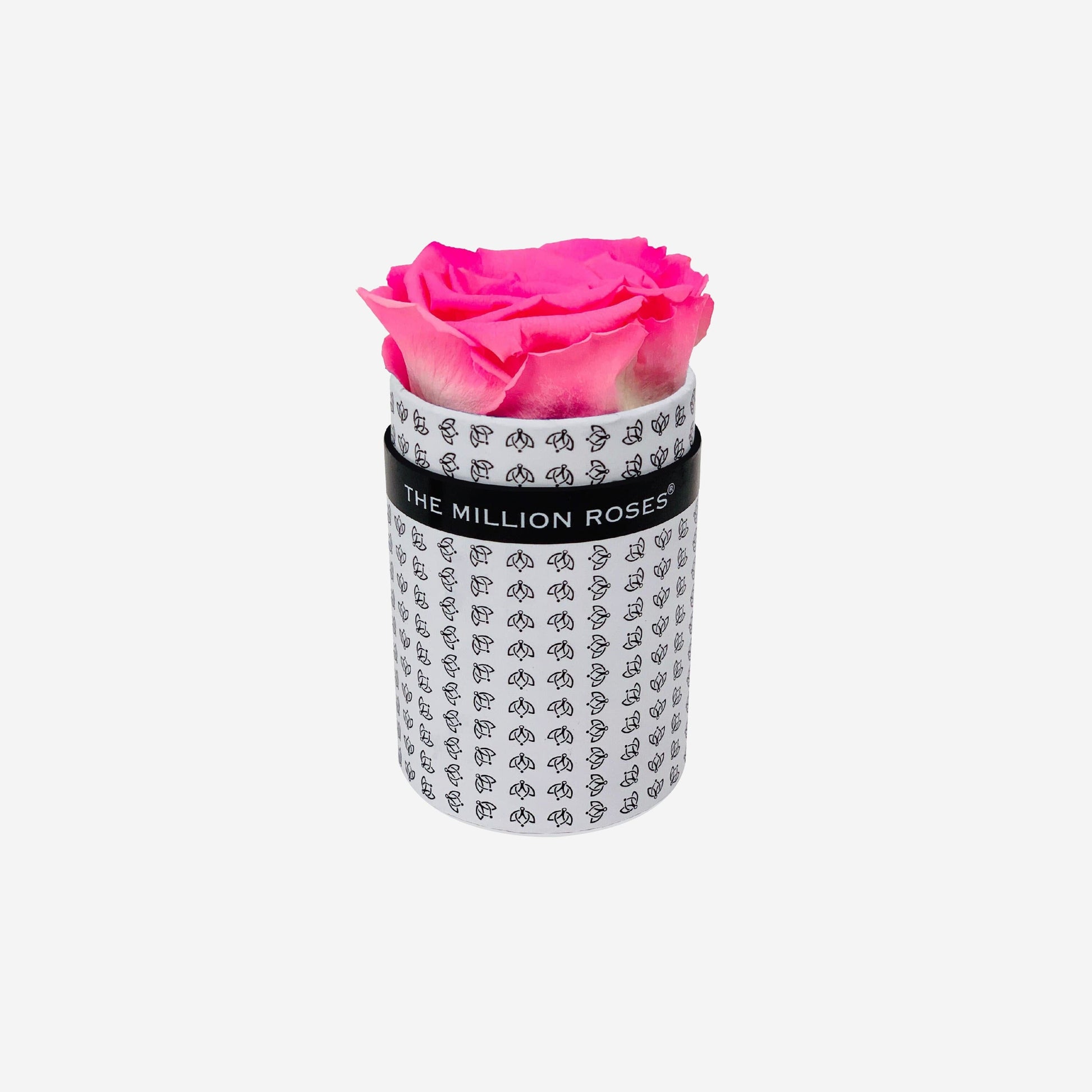 Single White Monogram Box | Candy Pink Rose - The Million Roses