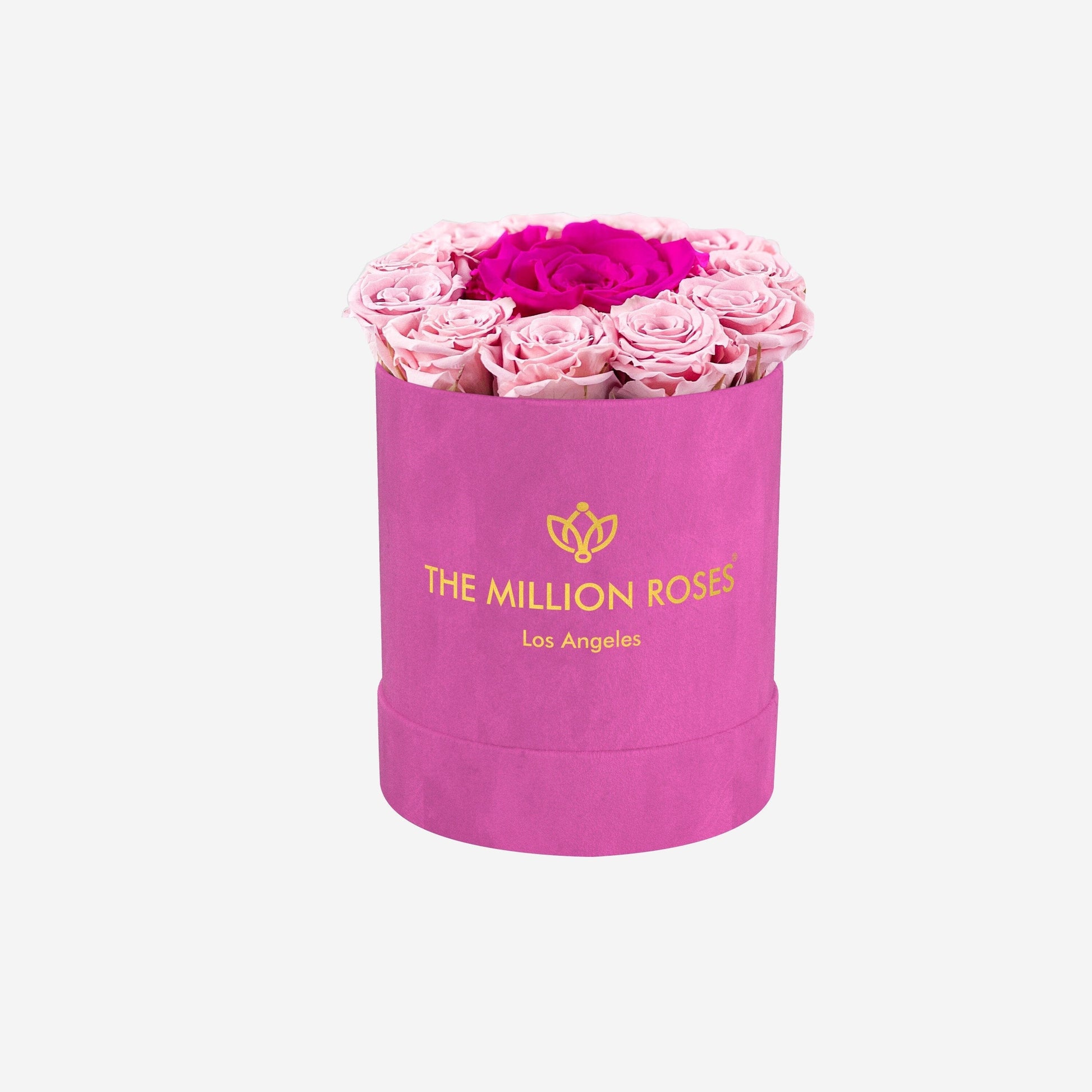 Basic Hot Pink Suede Box | Light Pink & Neon Pink Mini Roses - The Million Roses