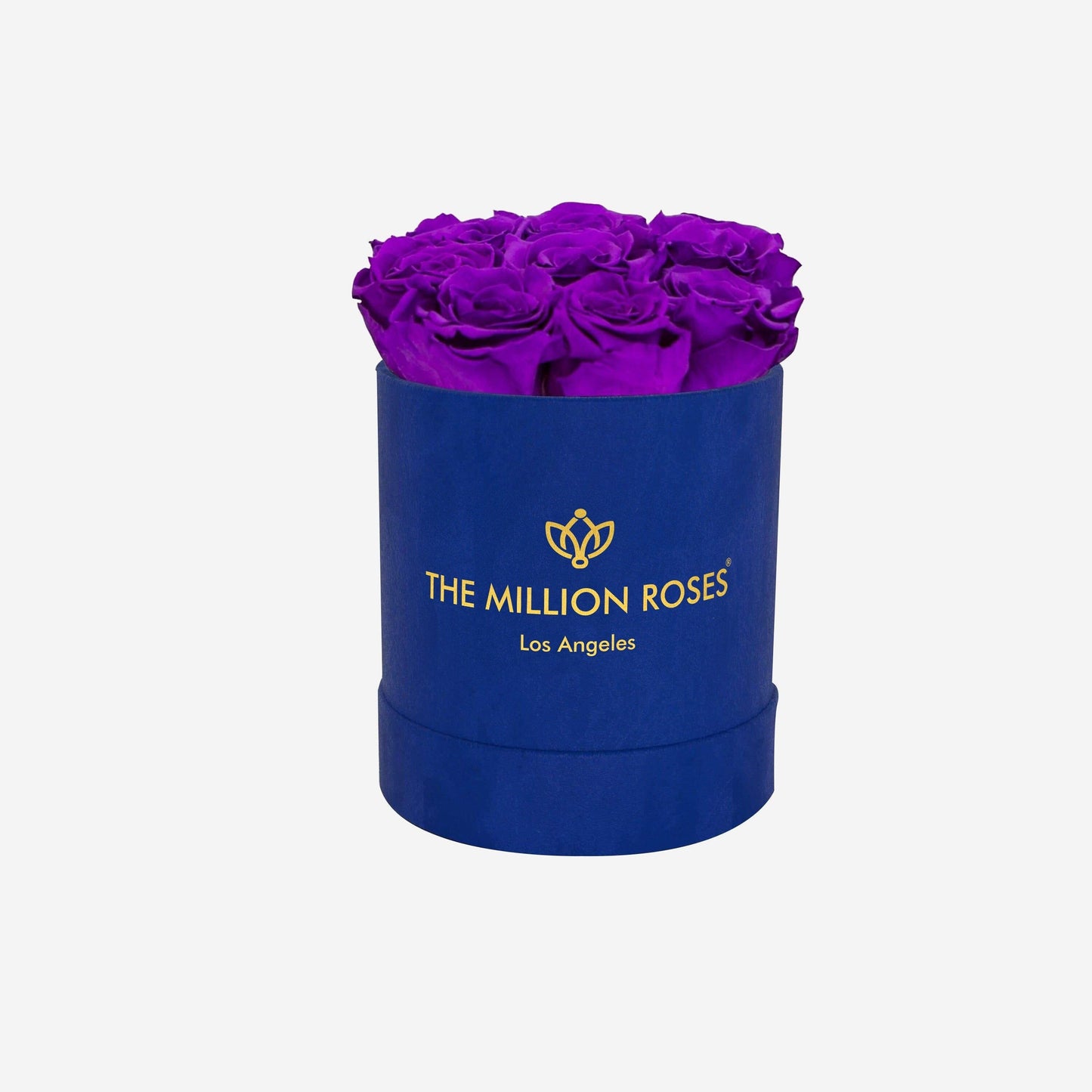 Basic Royal Blue Suede Box | Bright Purple Roses - The Million Roses