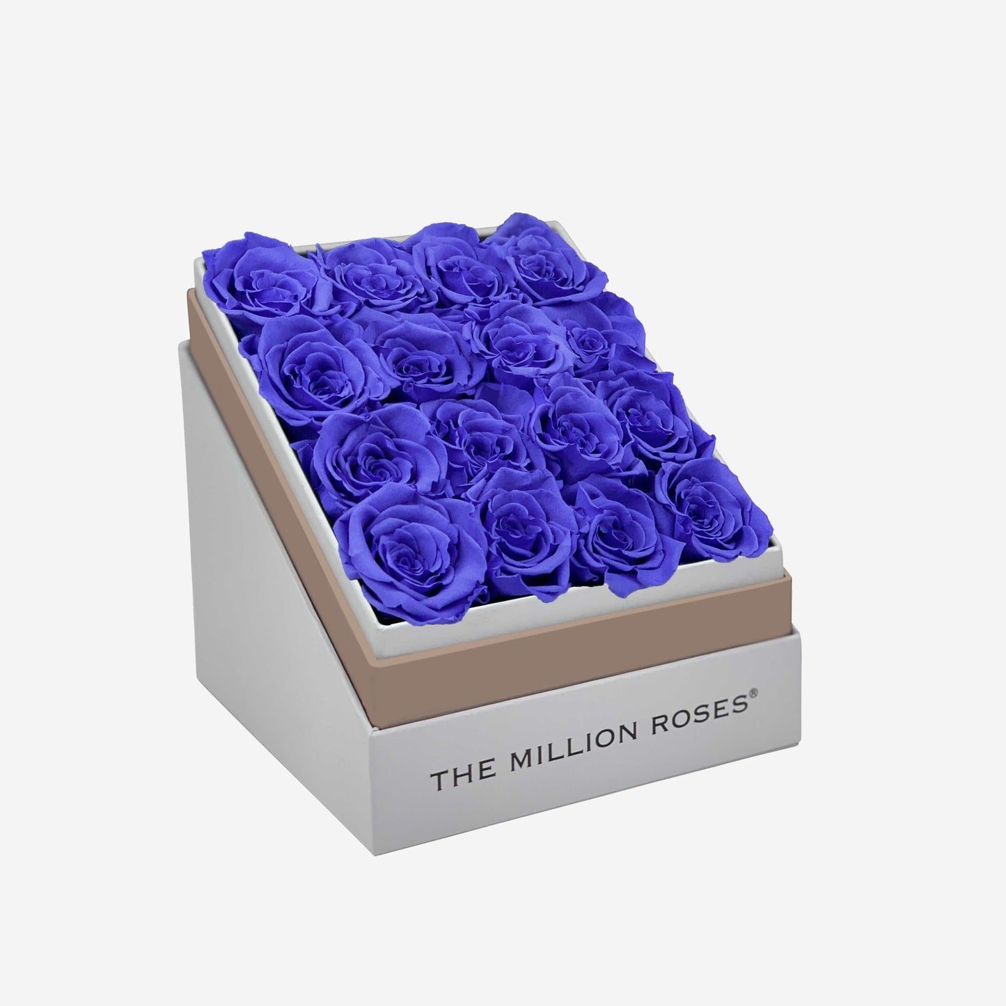 Square White Box | Violet Roses - The Million Roses